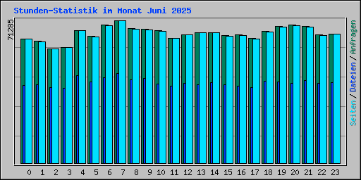 Stunden-Statistik im Monat Juni 2025