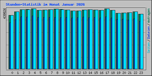 Stunden-Statistik im Monat Januar 2026